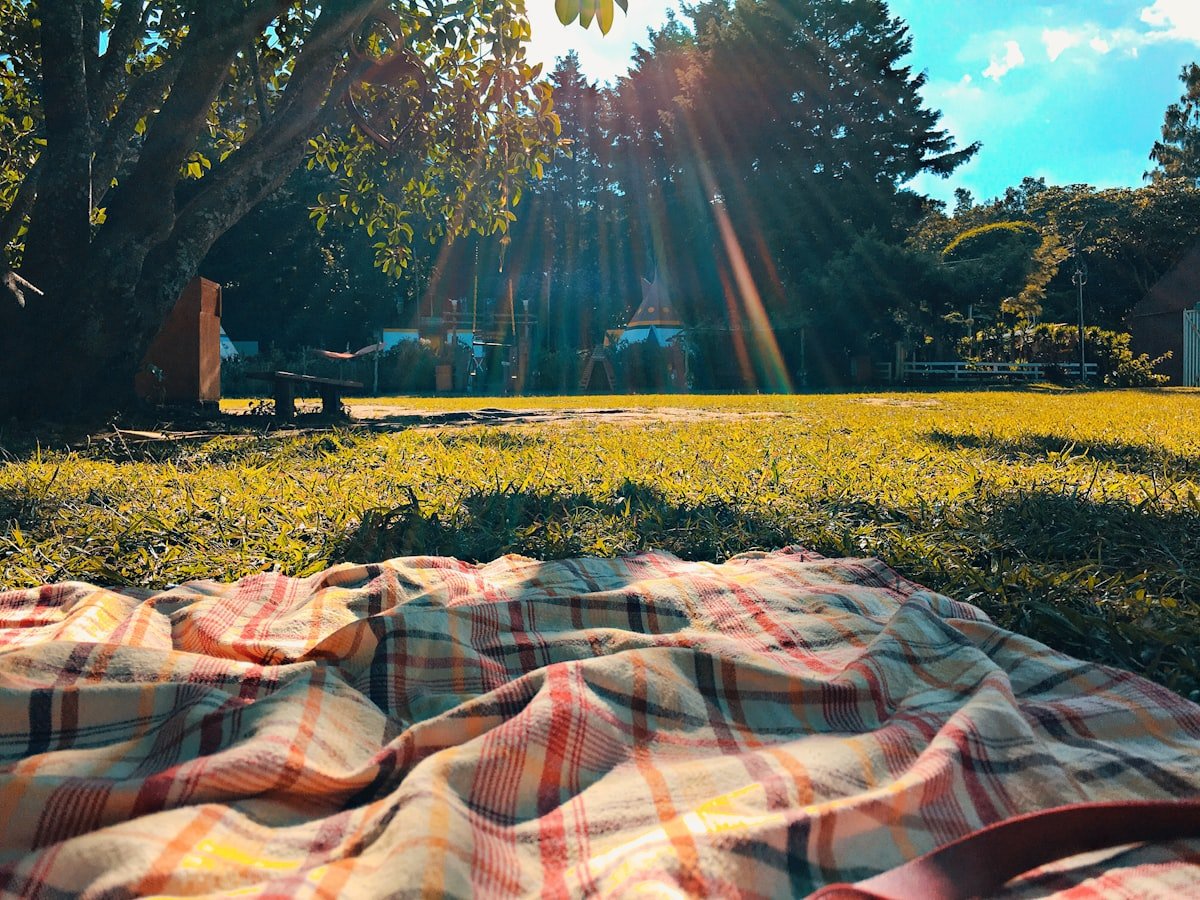Picnic blanket in a park at golden hour