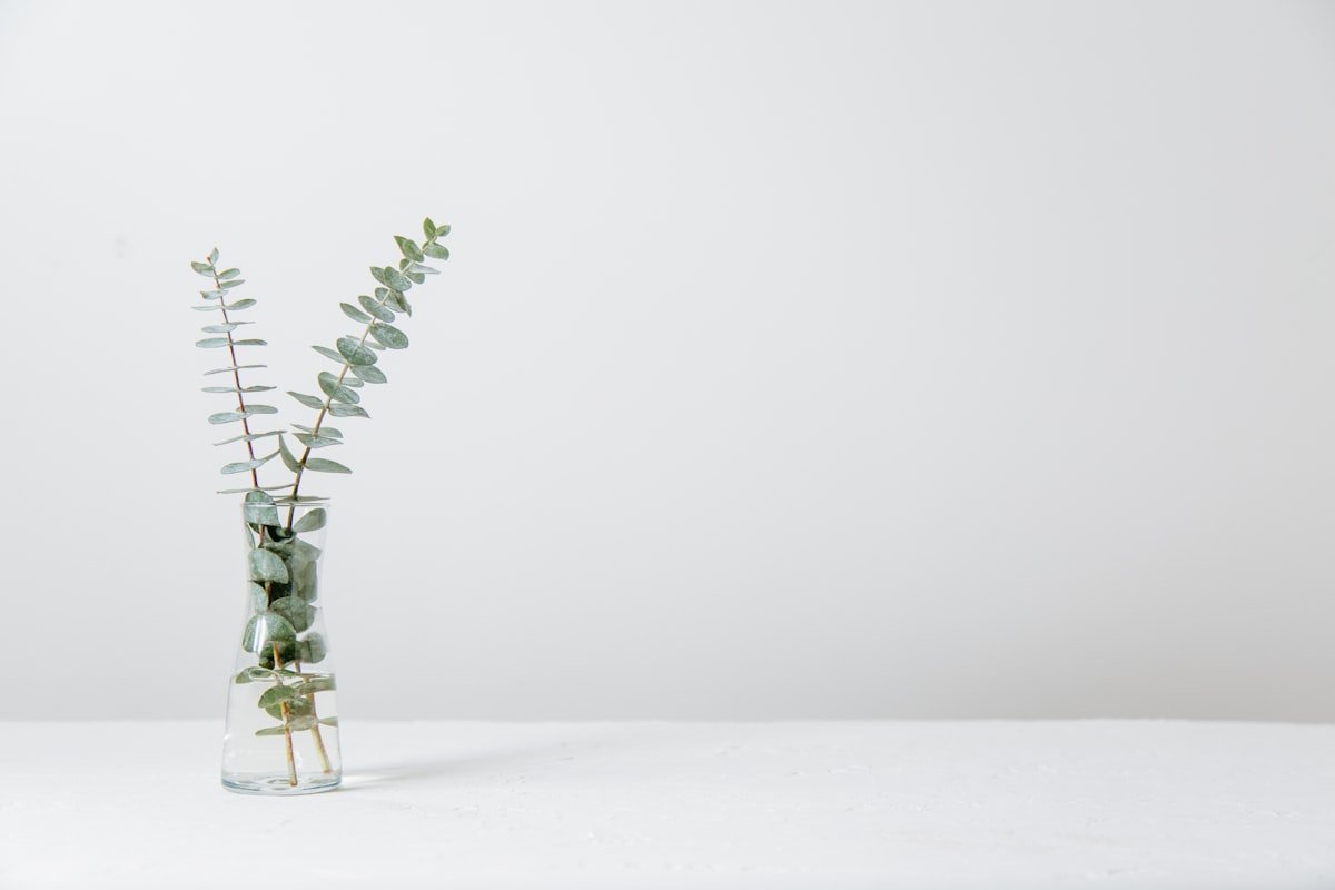 Single vase with breathing room showing negative space styling