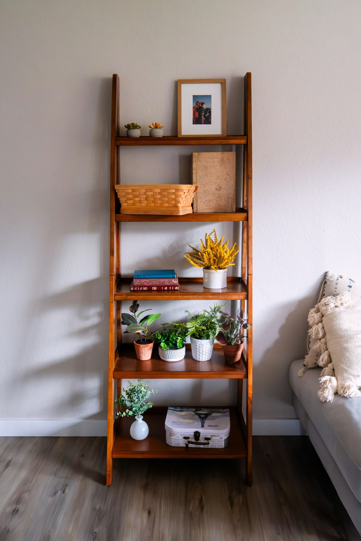 Wooden shelf of potted plants bringing an apartment to life