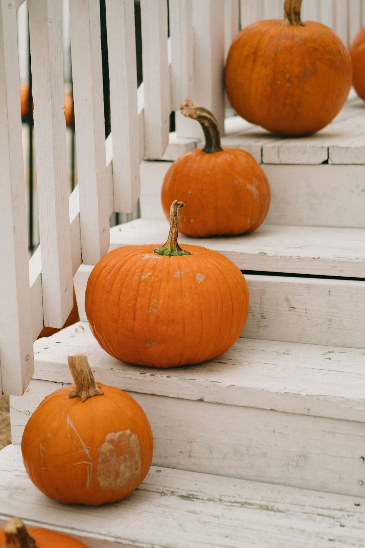 Orange pumpkin styled on white porch steps